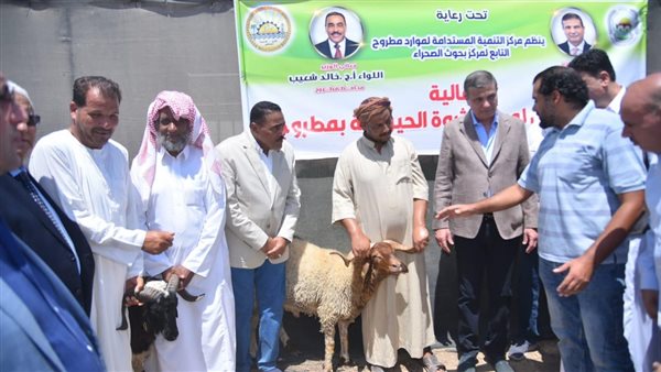 وزير الزراعة ومحافظ مطروح يوزعان 50 ألف شتلة زيتون و120 كبش من سلالة الاغنام البرقي مجانا بمطروح