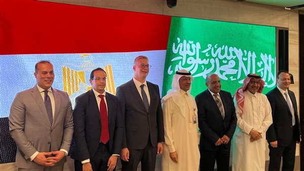  عصمت: مشروع الربط الكهربائي يلقى كل الدعم من الجانب السعودى.. وبدء التشغيل الصيف المقبل