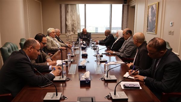 عصمت: نعمل على تلبية الاحتياجات من الكهرباء..ومواجهة التعديات والسرقات بتغليظ العقوبات