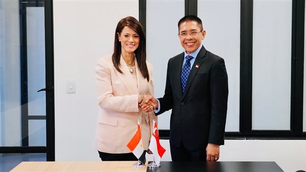 وزيرة التخطيط تبحث مع الوزير الثاني للشئون الخارجية والتعليم بسنغافورة تعزيز سبل التعاون 