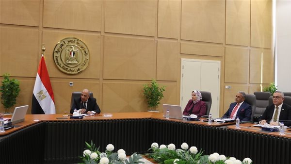 وزير الكهرباء يناقش انهاء اعمال مشروع خط الربط الكهربائي المصرى السعودى