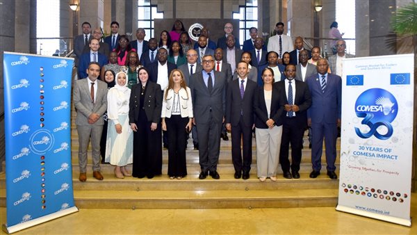 الهيئة العامة الاستثمار تستضيف ورشة عمل لبحث التعديلات المقترحة على الكوميسا 