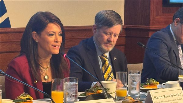 المشاط: نعمل مع البنك الدولي والجهات المعنية إعداد استراتيجية لتشجيع الاستثمار الأجنبي المباشر