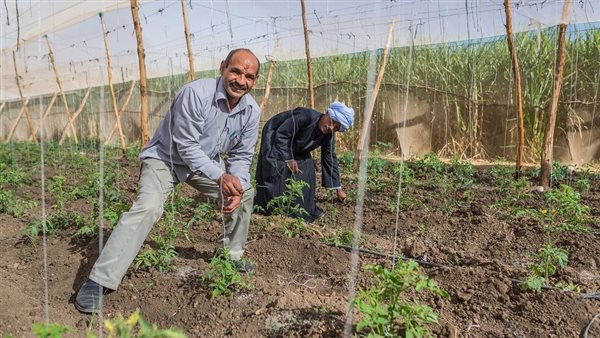 الأمن الغذائي يتصدر أجندة منتدى الغذاء العالمي والاجتماعات السنوية للبنك الدولي 