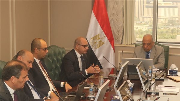 وزير الكهرباء يبحث مع مجموعة مدكور خفض الفقد وتوزيع الكهرباء وموقف مشروعات الشركة