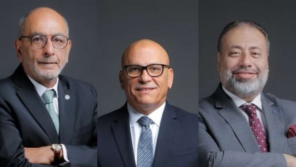 ثروة للتأمين وثروة حياة تحققان صافي أرباح يتجاوز 152 مليون جنيه نهاية يونيو 2024