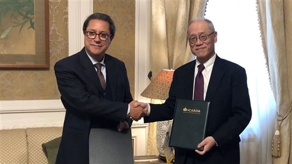 حكومة اليابان وإيكاردا تتعاونان لتعزيز الأمن الغذائي في مصر