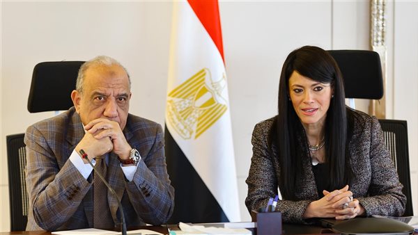 المشاط وعصمت يبحثان الخطة الاستثمارية لقطاع الكهرباء والطاقة المتجددة للعام المالي الجديد 25/2026