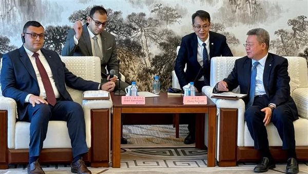 وزير الإسكان يلتقي رئيس شركة 