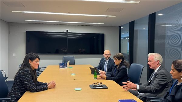  المشاط تلتقي رئيس مؤسسة ODI الدولية ونائب رئيس مجموعة 