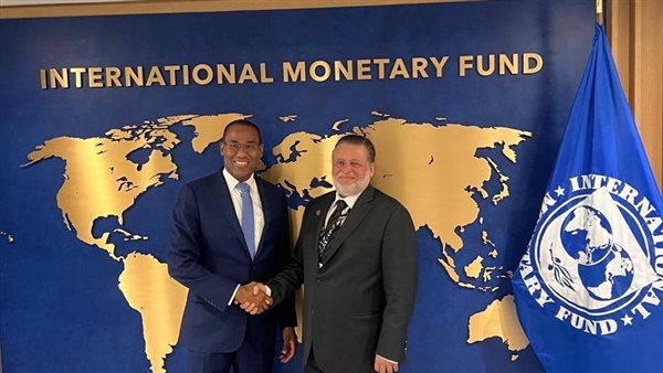 محافظ البنك المركزي المصري يلتقي نائب المدير العام لصندوق النقد الدولي