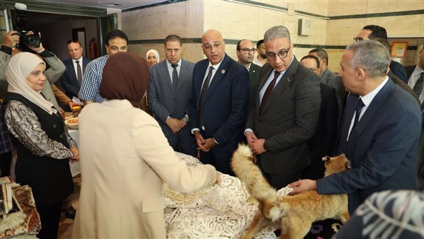 جهاز تنمية المشروعات ضخ تمويلات بإجمالي 2.6 مليار جنيه لمشروعات شباب الفيوم