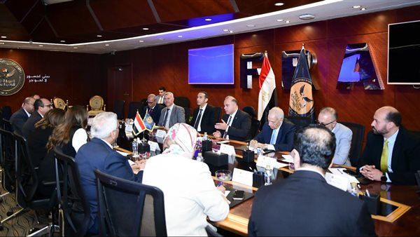 الرقابة المالية ووزارة التنمية المحلية يبحثان آليات التعاون وكيفية الاستفادة من الخدمات المالية غير المصرفية في المحافظات