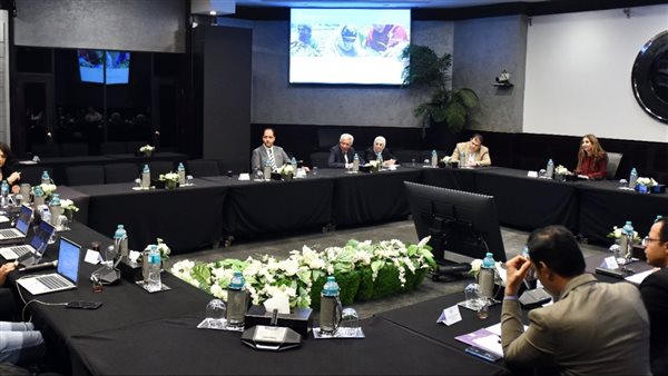 هيئة الاستثمار تبحث سبل دعم الشركات المصرية للمشاركة في مناقصات 