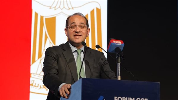 وزير المالية: الاقتصاد المصرى يتحرك بخطى جيدة.. ويوفر فرصًا استثمارية كبيرة