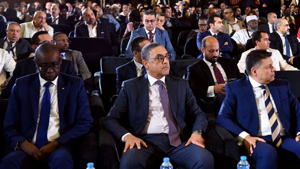 حسام هيبة: الحكومة تعد استراتيجيات مستدامة للتكامل الاستثماري والتجاري مع الدول الأفريقية