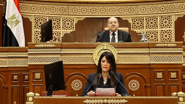  التخطيط: الاستثمارات الكلية المتوقعة للتنمية البشرية تصل إلى 700 مليار جنيه