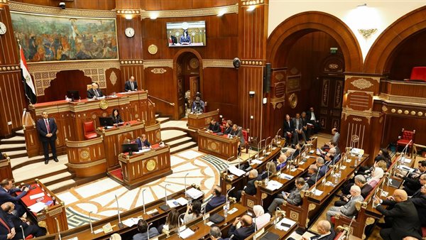 وزيرة التخطيط: نستهدف زيادة الاستثمارات الكليّة إلى 3.5 تريليون جنيه لأول مرة 