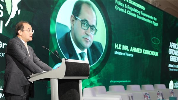 المالية: الحكومة طرحت للقطاع الخاص خطة طموحة للاستثمار فى مشروعات الطاقة الجديدة والمتجددة حتى ٢٠٣٠