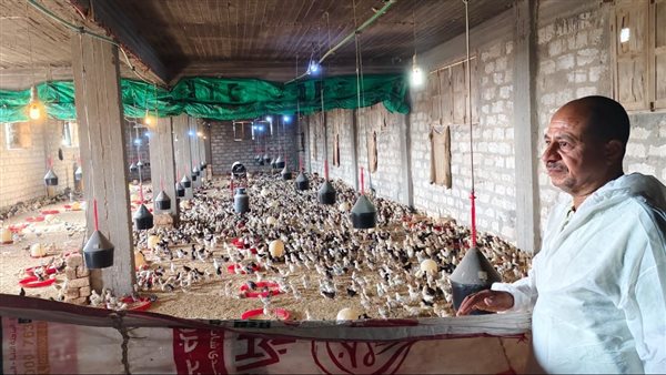 وزير الزراعة يستعرض جهود حماية الثروة الداجنة وتعزيز الاستقرار الوبائي في المحافظات