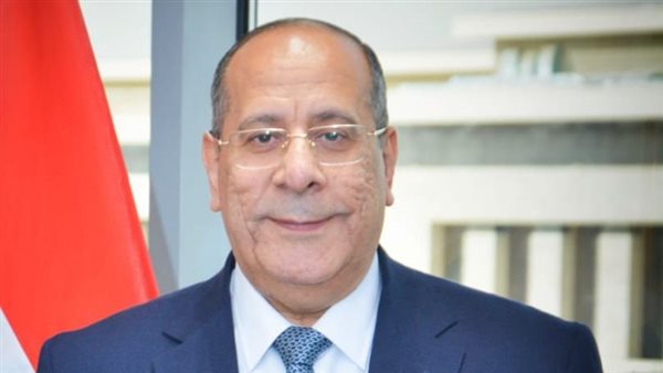 القابضة للصناعات الغذائية: ضخ كميات كبيرة من اللحوم والدواجن بأسعار مخفضة استعدادًا لعيد الأضحى