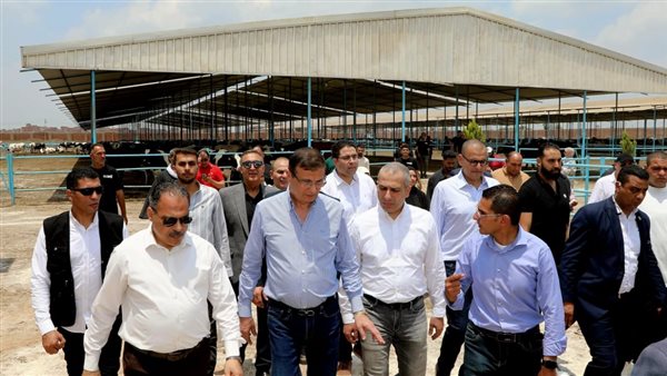 البنك الزراعي يمول شراء 2000 رأس ماشية بقيمة 395 مليون جنيه لصالح 188 من صغار المربين بالشرقية