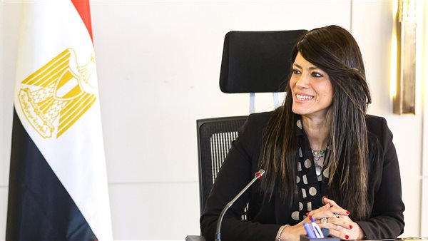 وزارة التخطيط: الاستثمارات الخاصة تستحوذ على 62.8% من إجمالي الاستثمارات