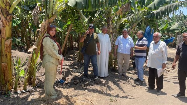 الزراعة تصدر تراخيص ل 352 صوبة ومشتل لإنتاج شتلات خضر خلال يونيو