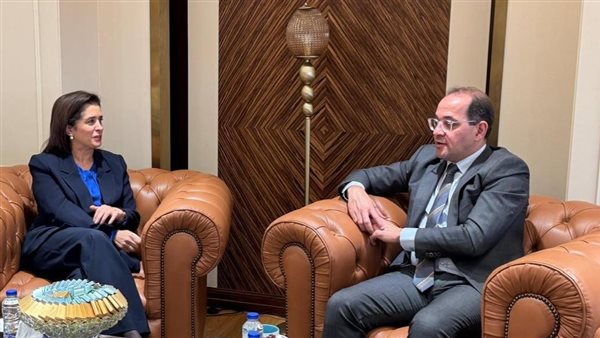 وزير المالية: نتطلع إلى آليات مبتكرة لتمويل النظام الصحي في مصر
