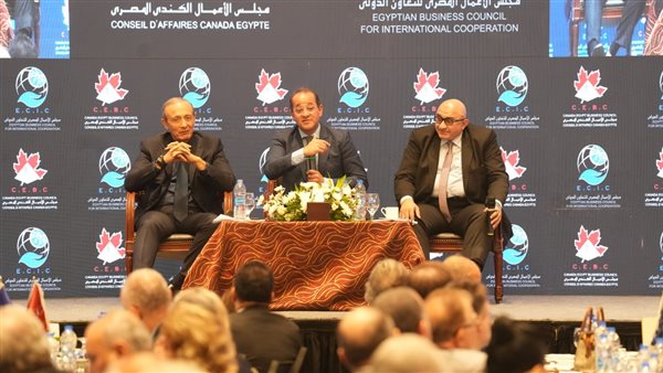 وزير المالية: معدل النمو تضاعف من 2.4 ٪ إلى 4.2 ٪ خلال 9 شهور