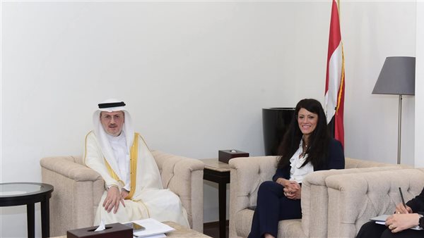 رانيا المشاط: المؤسسة الإسلامية شريك رئيسي في تمويل السلع الاستراتيجية لمصر