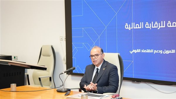  رئيس هيئة الرقابة المالية يلتقي بالسفراء المنقولين للعمل بالسفارات والبعثات المصرية بالخارج
