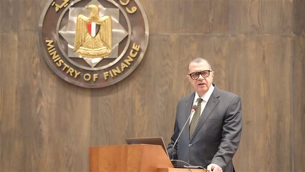 نائب وزير المالية: نعمل على دمج التجارة الإلكترونية بشكل أكبر لتعزيز تنوع الاقتصاد المصري